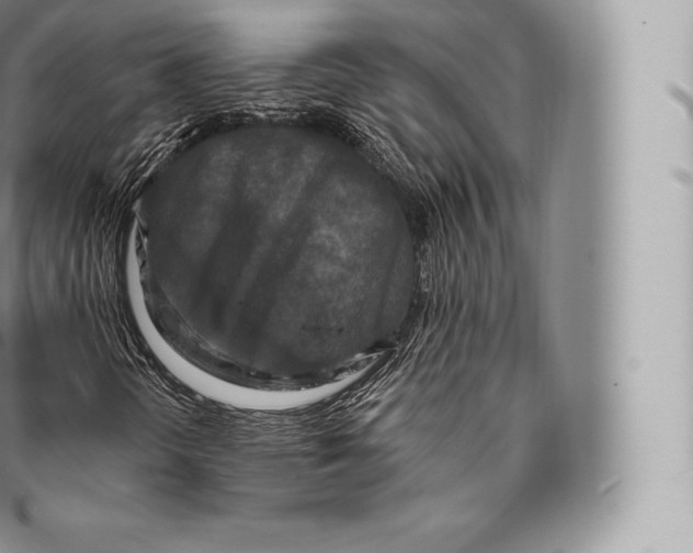 X0000096491298200802141736