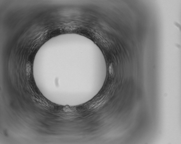 X0000096491299200802141736