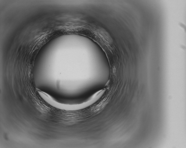 X0000096491300200802141736