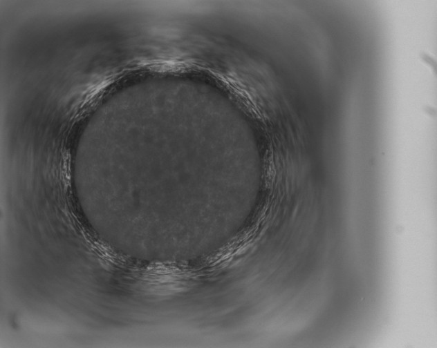 X0000096491301200802141736