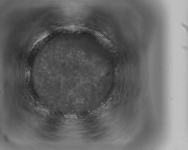 X0000096491302200802141736