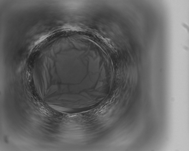 X0000096491303200802141736