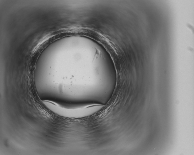 X0000096491304200802141736