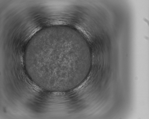 X0000096491305200802141736