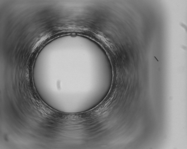 X0000096491307200802141736