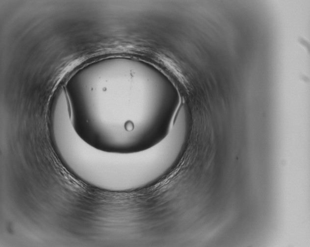 X0000096491308200802141736