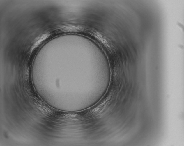 X0000096491309200802141736