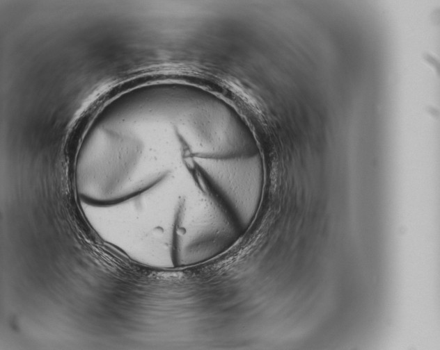 X0000096491310200802141736