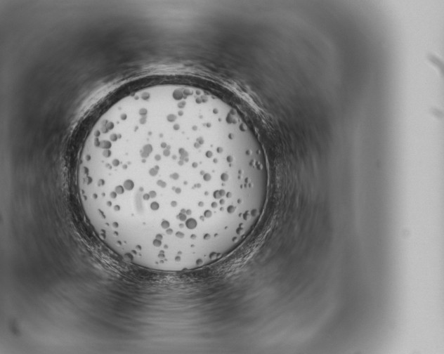 X0000096491311200802141736