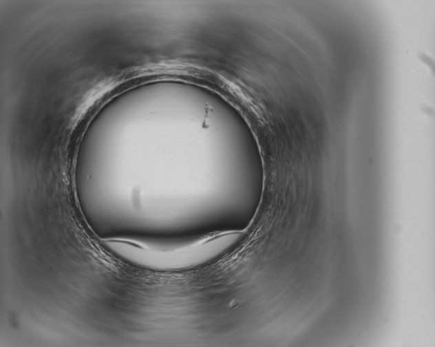 X0000096491312200802141736