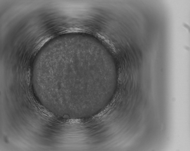 X0000096491313200802141736