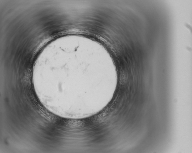 X0000096491314200802141736