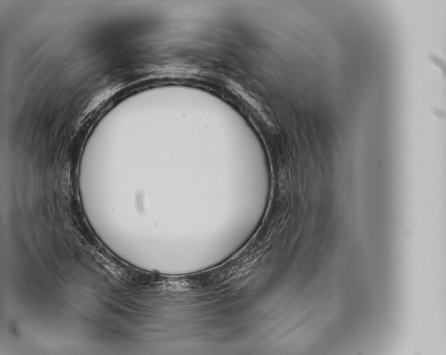 X0000096491315200802141736