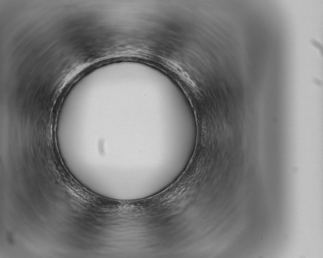 X0000096491316200802141736