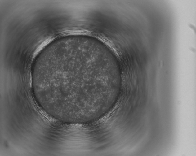 X0000096491317200802141736