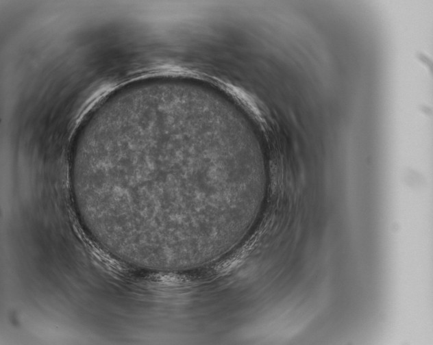 X0000096491318200802141736