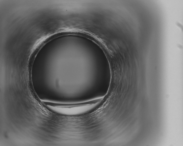 X0000096491319200802141736