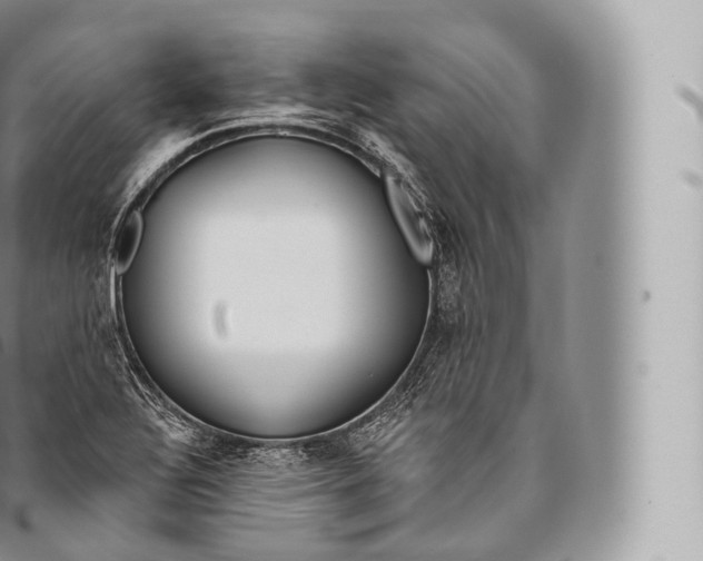 X0000096491320200802141736