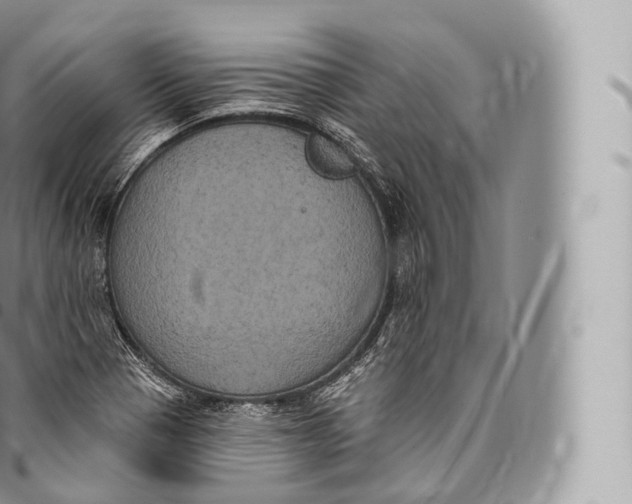 X0000096491321200802141736