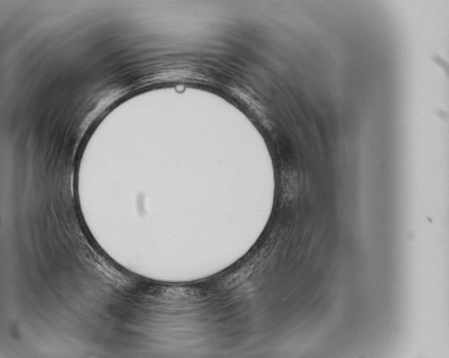 X0000096491322200802141736