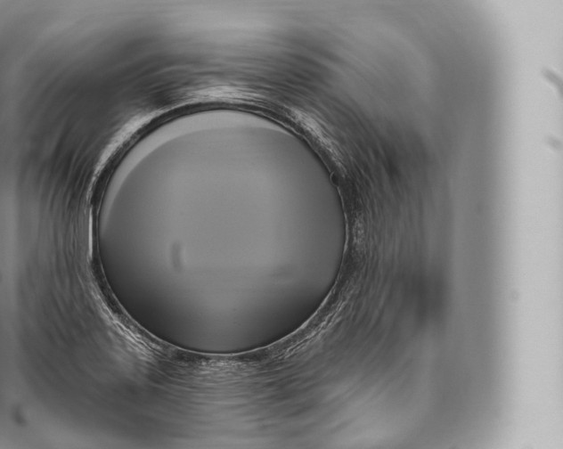 X0000096491323200802141736