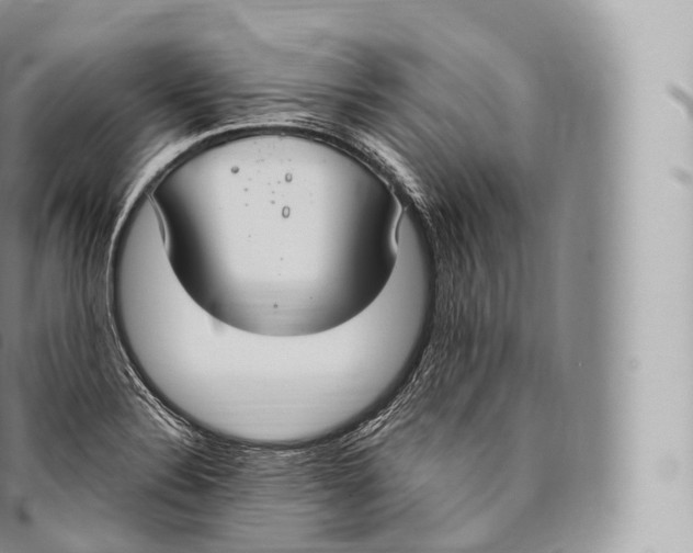 X0000096491324200802141736