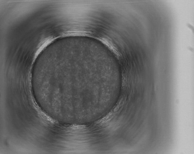 X0000096491325200802141736