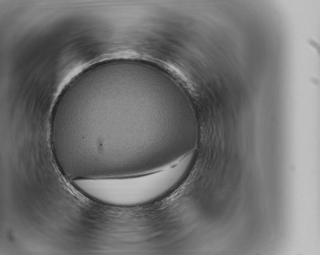 X0000096491326200802141736