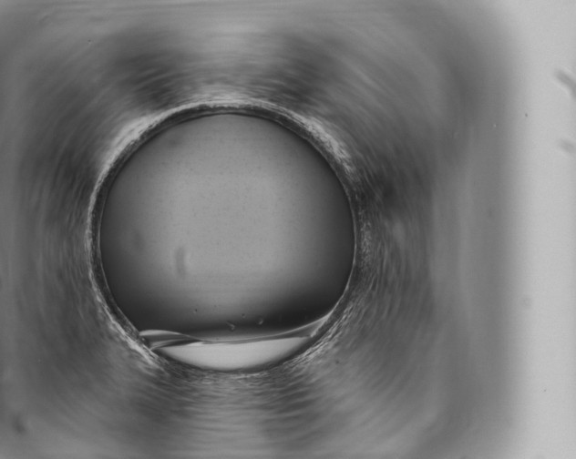 X0000096491327200802141736