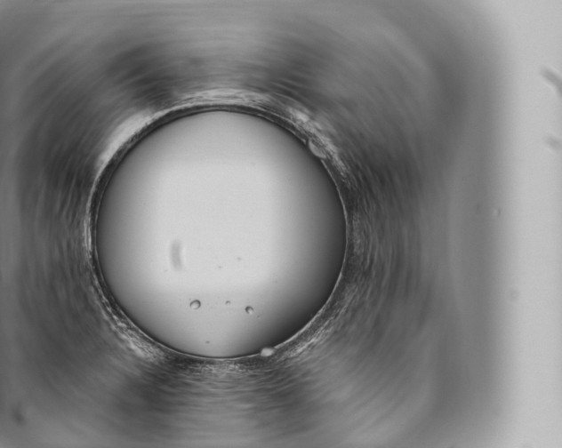 X0000096491328200802141736