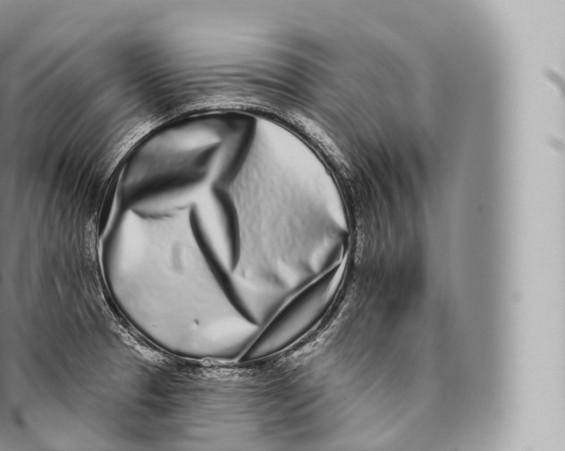 X0000096491329200802141737