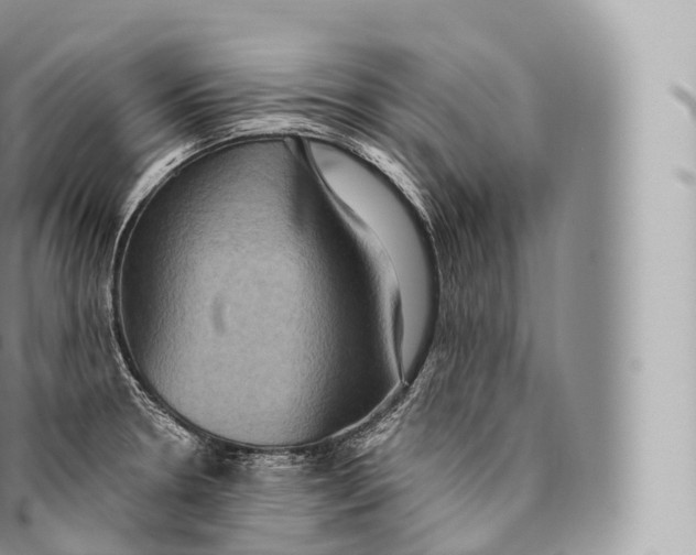 X0000096491330200802141737