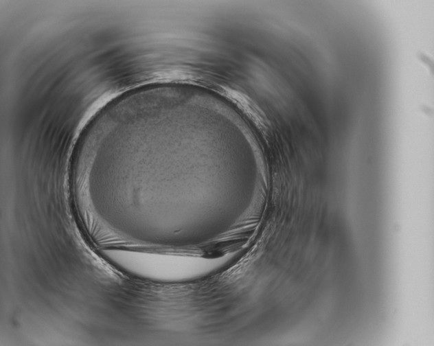 X0000096491331200802141737