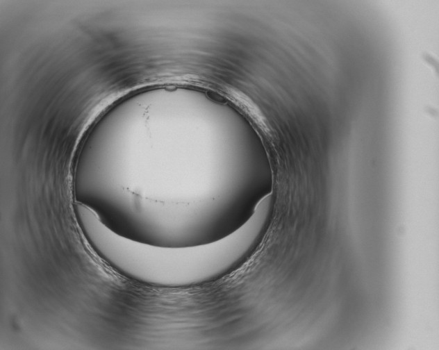 X0000096491332200802141737