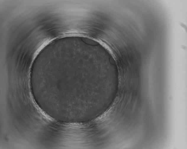 X0000096491333200802141737