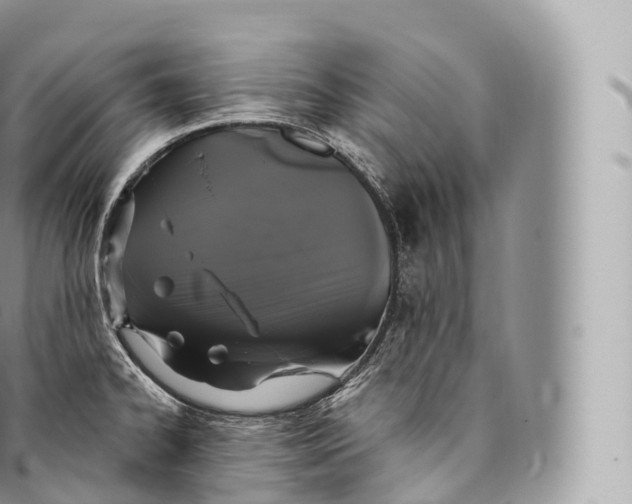 X0000096491334200802141737