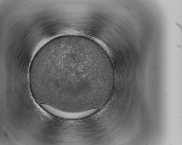 X0000096491335200802141737