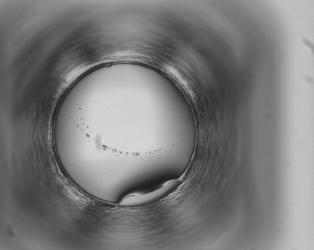 X0000096491336200802141737