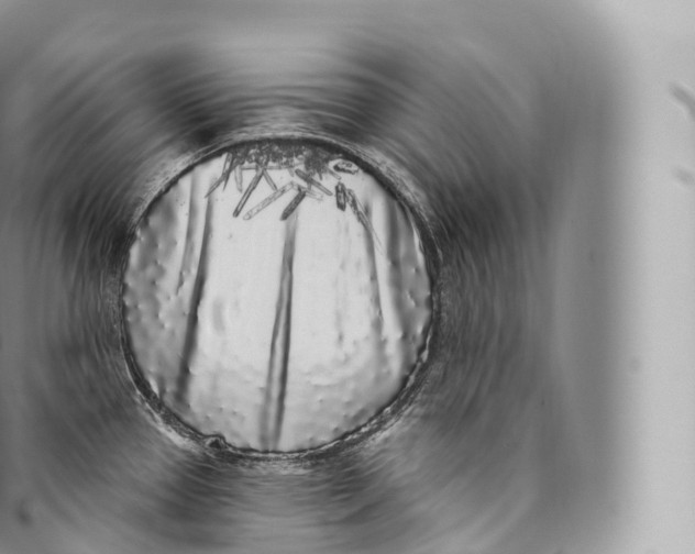 X0000096491337200802141737