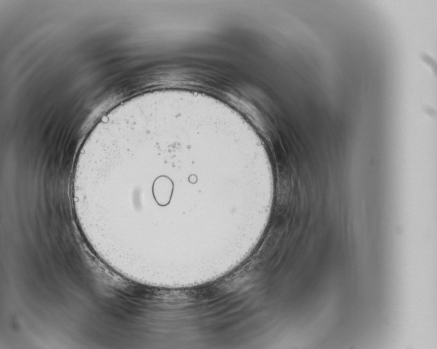 X0000096491338200802141737