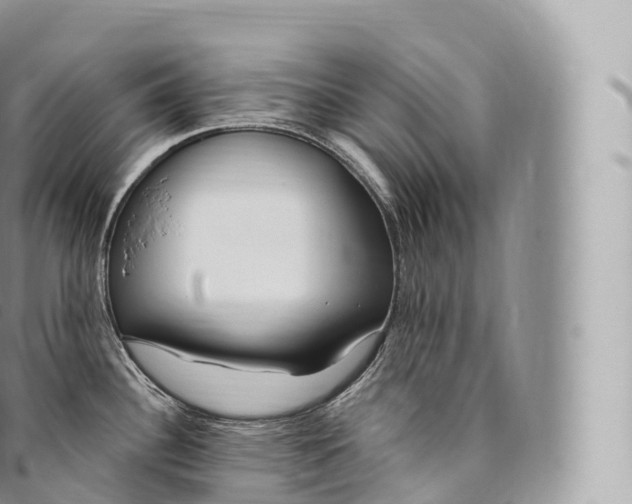 X0000096491340200802141737