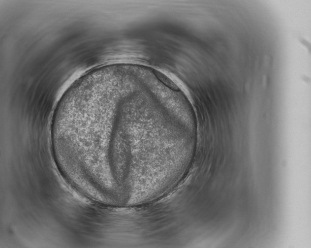 X0000096491341200802141737