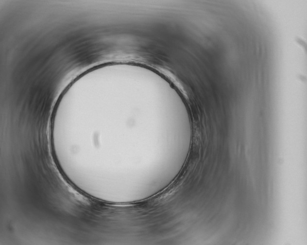 X0000096491343200802141737