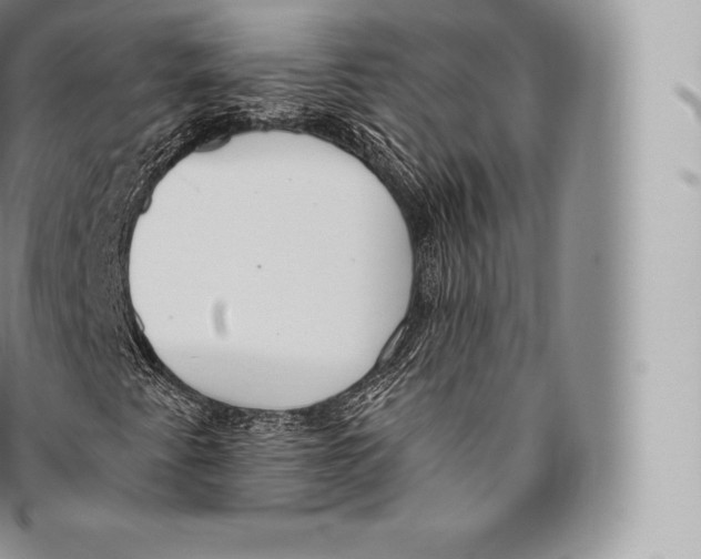 X0000096491345200802141736