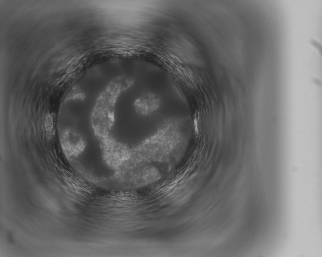 X0000096491347200802141736