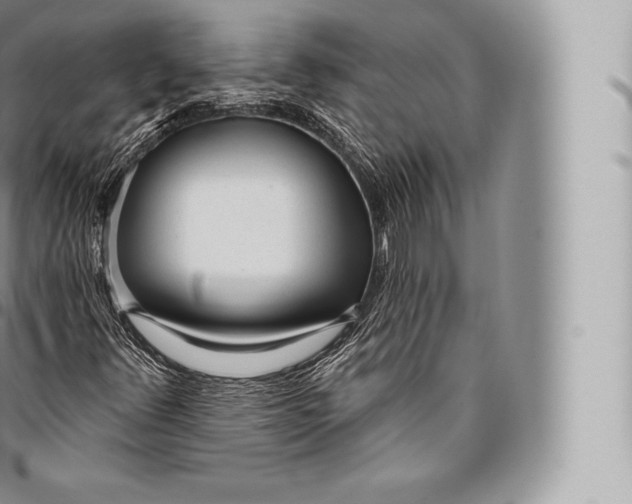 X0000096491348200802141736