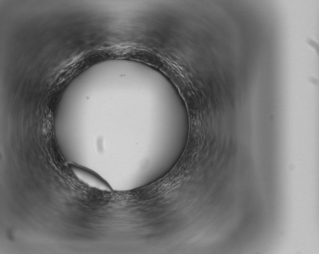 X0000096491349200802141736