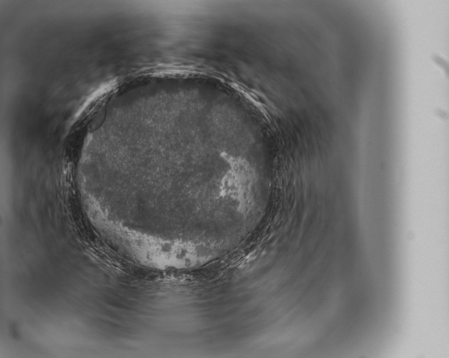 X0000096491351200802141736