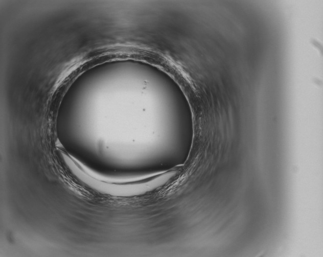 X0000096491352200802141736