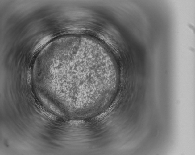 X0000096491354200802141736